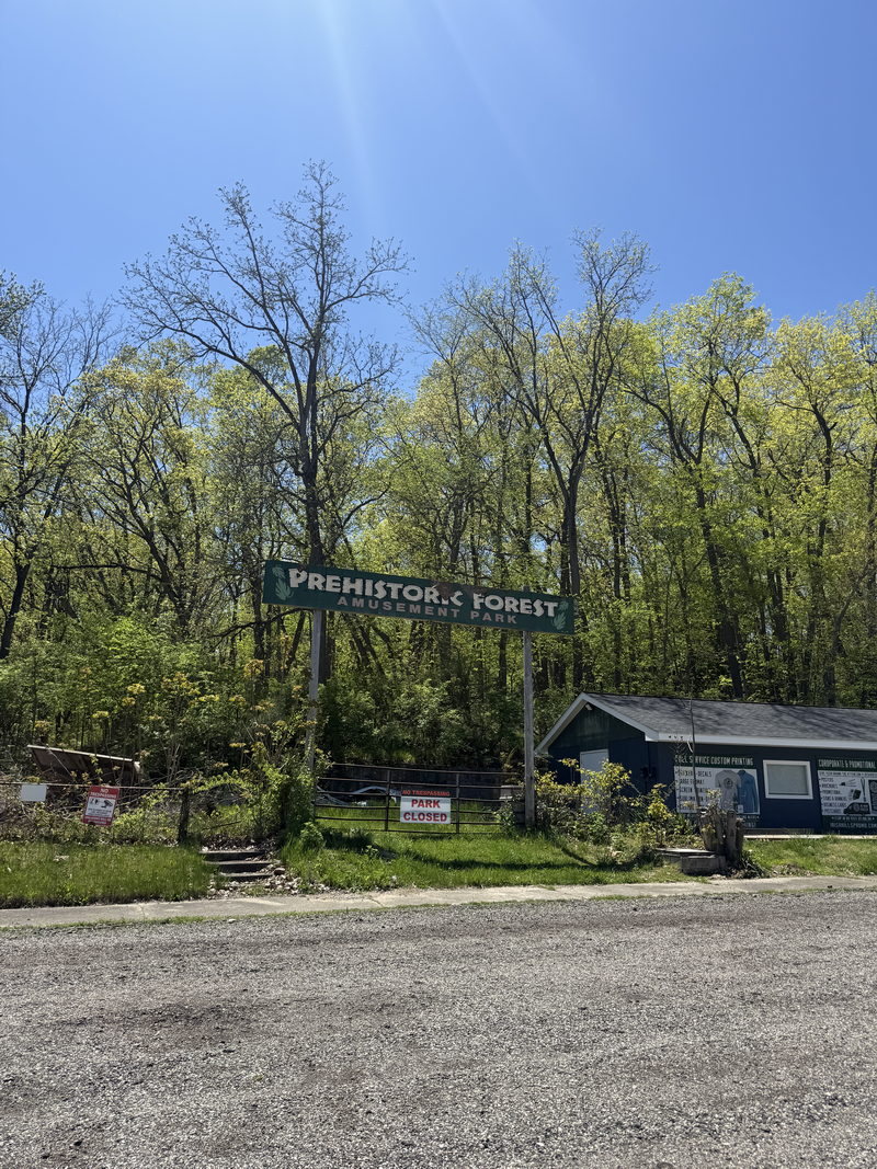 Prehistoric Forest - May 11 2025